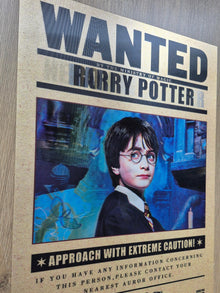 Harry Potter – Affiche Holographique 3D
