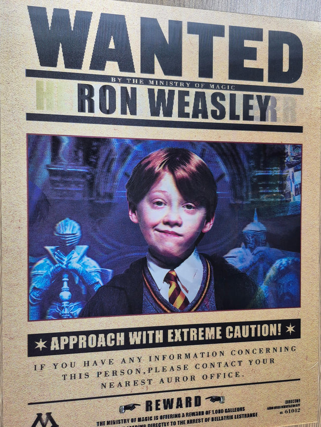Harry Potter – Affiche Holographique 3D